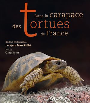 Téléchargez le livre :  Dans la carapace des tortues de France