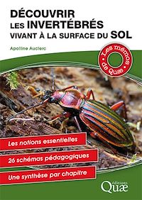 Téléchargez le livre :  Découvrir les invertébrés vivant à la surface du sol