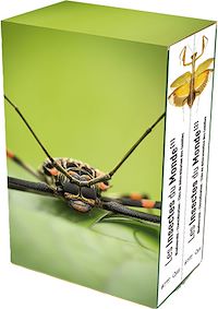 Téléchargez le livre :  Les insectes du monde