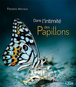 Télécharger le livre :  Dans l'intimité des papillons