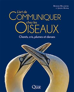 Télécharger le livre :  L'art de communiquer chez les oiseaux