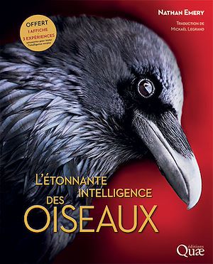 Téléchargez le livre :  L'étonnante intelligence des oiseaux