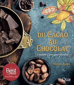 Télécharger le livre :  Du cacao au chocolat