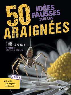 Télécharger le livre :  50 idées fausses sur les araignées