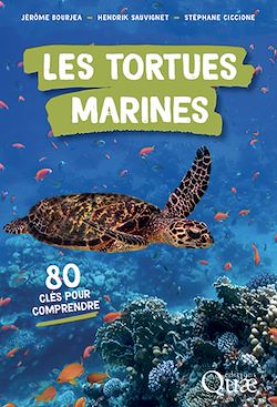 Télécharger le livre :  Les tortues marines