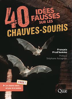 Télécharger le livre :  40 idées fausses sur les chauves-souris