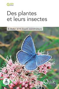 Téléchargez le livre :  Des plantes et leurs insectes