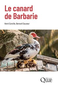 Téléchargez le livre :  Le canard de Barbarie