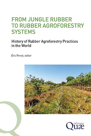 Téléchargez le livre :  From Jungle Rubber to Rubber Agroforestry Systems