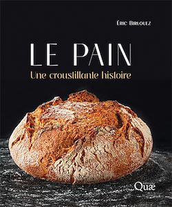 Télécharger le livre :  Le pain
