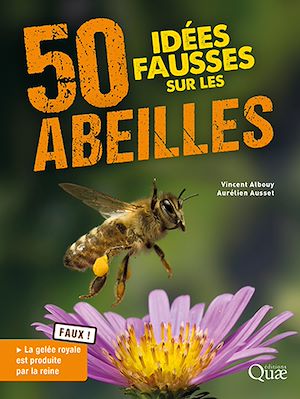 Téléchargez le livre :  50 idées fausses sur les abeilles