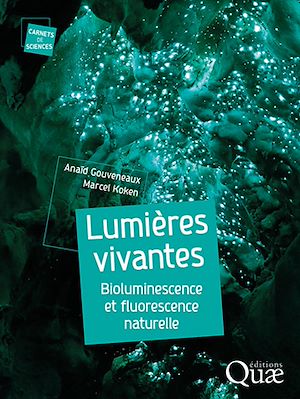 Téléchargez le livre :  Lumières vivantes