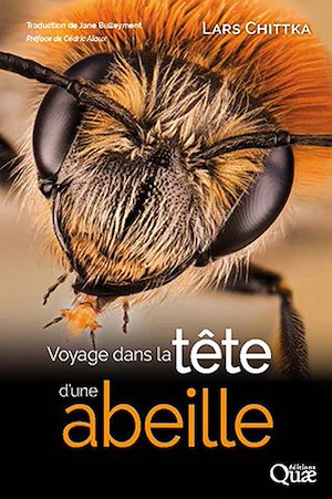 Téléchargez le livre :  Voyage dans la tête d'une abeille