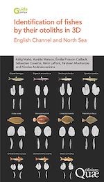Télécharger le livre :  Identification of fishes by their otoliths in 3D