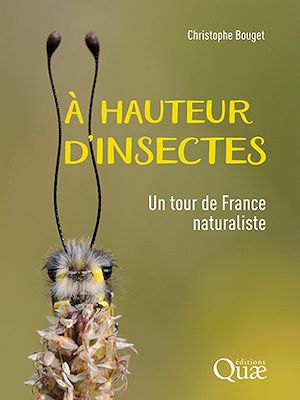 Téléchargez le livre :  A hauteur d'insectes