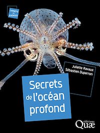 Téléchargez le livre :  Secrets de l'océan profond