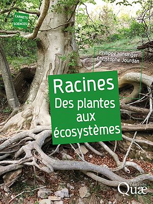 Téléchargez le livre :  Racines