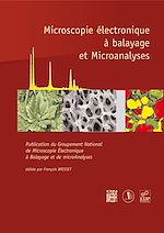 Télécharger le livre :  Microscopie électronique à balayage et microanalyses