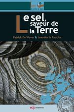 Télécharger le livre :  Le sel, saveur de la Terre