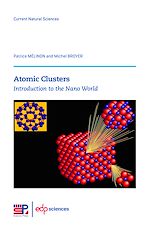 Télécharger le livre :  Atomic Clusters