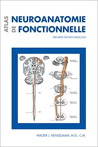 Téléchargez le livre :  Atlas de neuroanatomie fonctionnelle