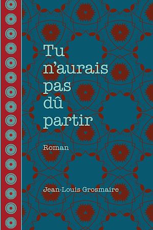 Téléchargez le livre :  Tu n'aurais pas dû partir