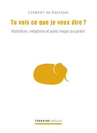 Téléchargez le livre :  Tu vois ce que je veux dire ?