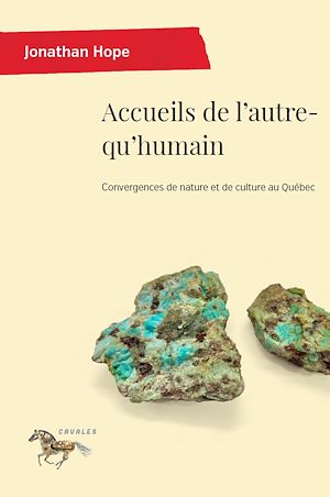 Téléchargez le livre :  Accueils de l'autre-qu'humain