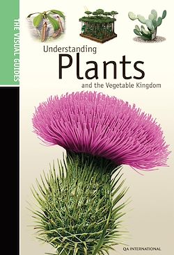 Télécharger le livre :  Understanding Plants & the Vegetable Kingdom