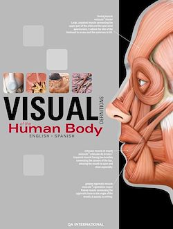 Télécharger le livre :  The Visual Dictionary of the Human Body