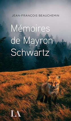 Télécharger le livre :  Mémoires de Mayron Schwartz