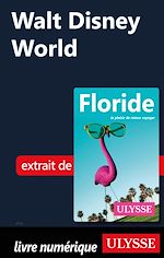 Download this eBook Walt Disney World