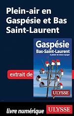 Download this eBook Plein-air en Gaspésie et Bas Saint-Laurent