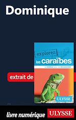 Download this eBook Dominique