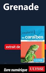 Download this eBook Grenade