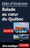 image couv description