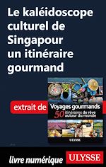 Download this eBook Le kaléidoscope culturel de Singapour - Un itinéraire gourmand