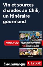 Download this eBook Vin et sources chaudes au Chili - Un itinéraire gourmand
