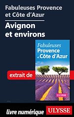 Download this eBook Fabuleuses Provence et Côte d'Azur: Avignon et environs