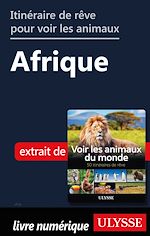 Télécharger le livre :  Itinéraire de rêve pour voir les animaux - Afrique