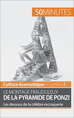 Télécharger le livre :  Le montage frauduleux de la pyramide de Ponzi