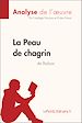 Télécharger le livre :  La Peau de chagrin d'Honoré de Balzac (Analyse de l'oeuvre)