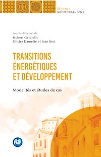 Télécharger le livre :  Transitions énergétiques et développement