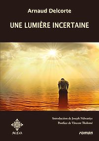 Télécharger le livre :  Une lumière incertaine