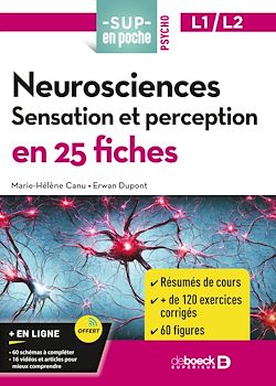 Télécharger le livre :  Neurosciences : Sensation et perception en 25 fiches - Licences 1 et 2