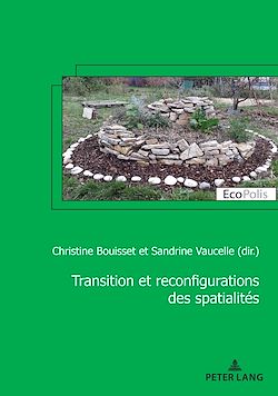 Télécharger le livre :  Transition et reconfiguration des spatialités