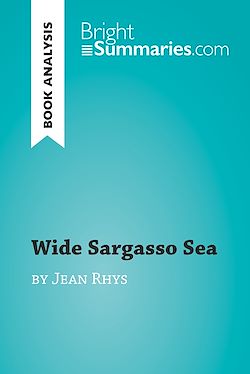 Télécharger le livre :  Wide Sargasso Sea by Jean Rhys (Book Analysis)