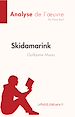 Télécharger le livre :  Skidamarink de Guillaume Musso (Analyse de l'œuvre)