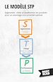 Télécharger le livre :  Le modèle STP