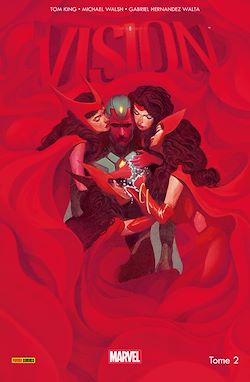 Télécharger le livre :  La Vision (2016) T02